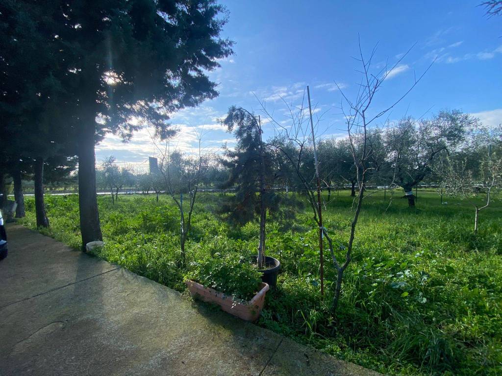 Villa a Corato in Strada Esterna Regio Bosco Comunale - Foto 3