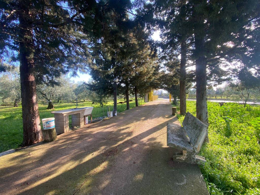 Villa a Corato in Strada Esterna Regio Bosco Comunale - Foto 5