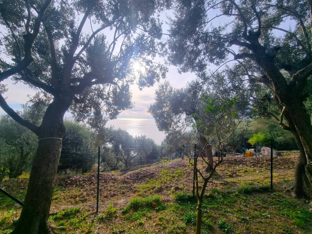 Terreno a Finale ligure in Via Manie - Foto 3