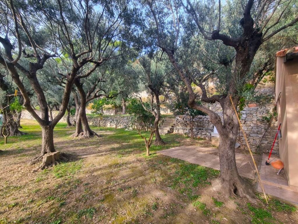 Terreno a Finale ligure in Via Manie - Foto 4