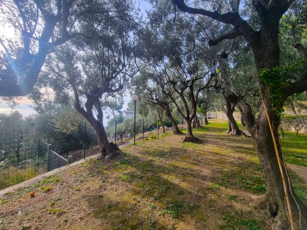 Terreno a Finale ligure in Via Manie - Foto 5