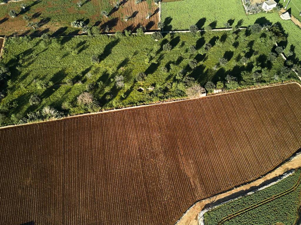 Villa a Polignano a mare in Contrada Fusella - Foto 5
