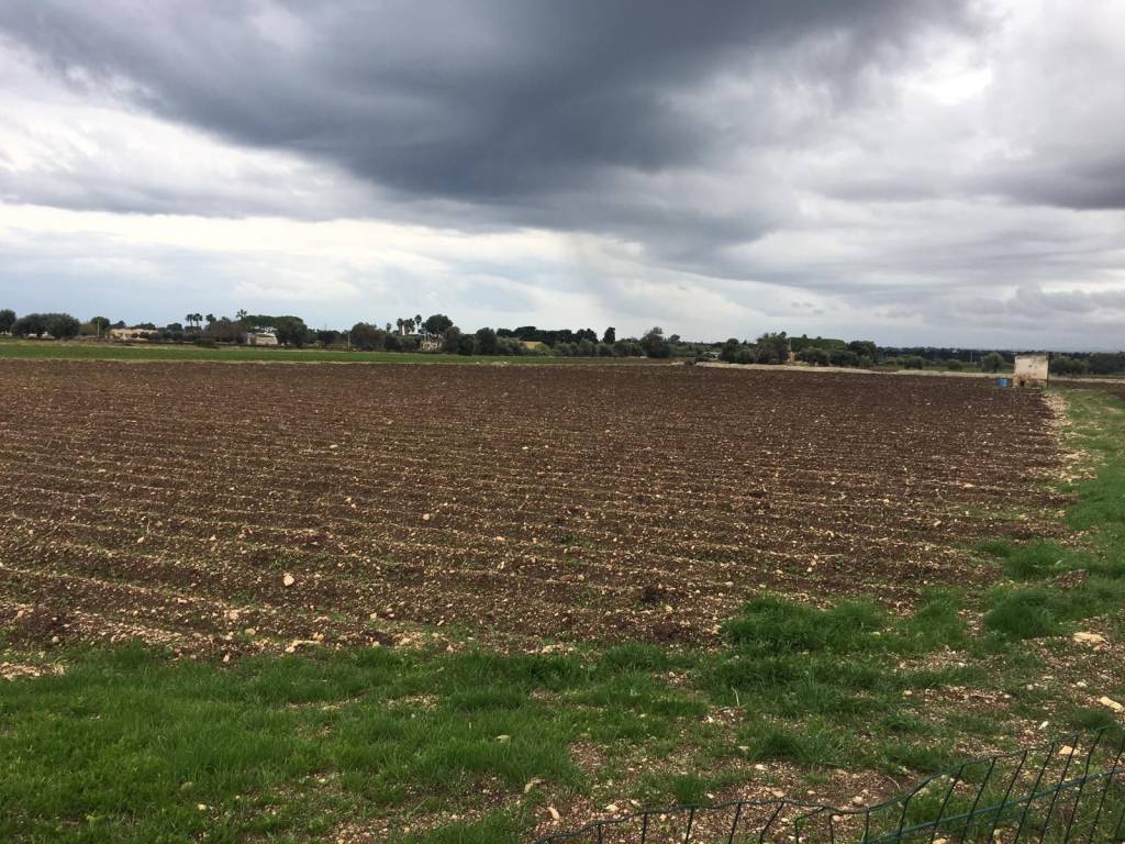 Terreno a Siracusa in Strada Capo Murro di Porco, 19 - Foto 4