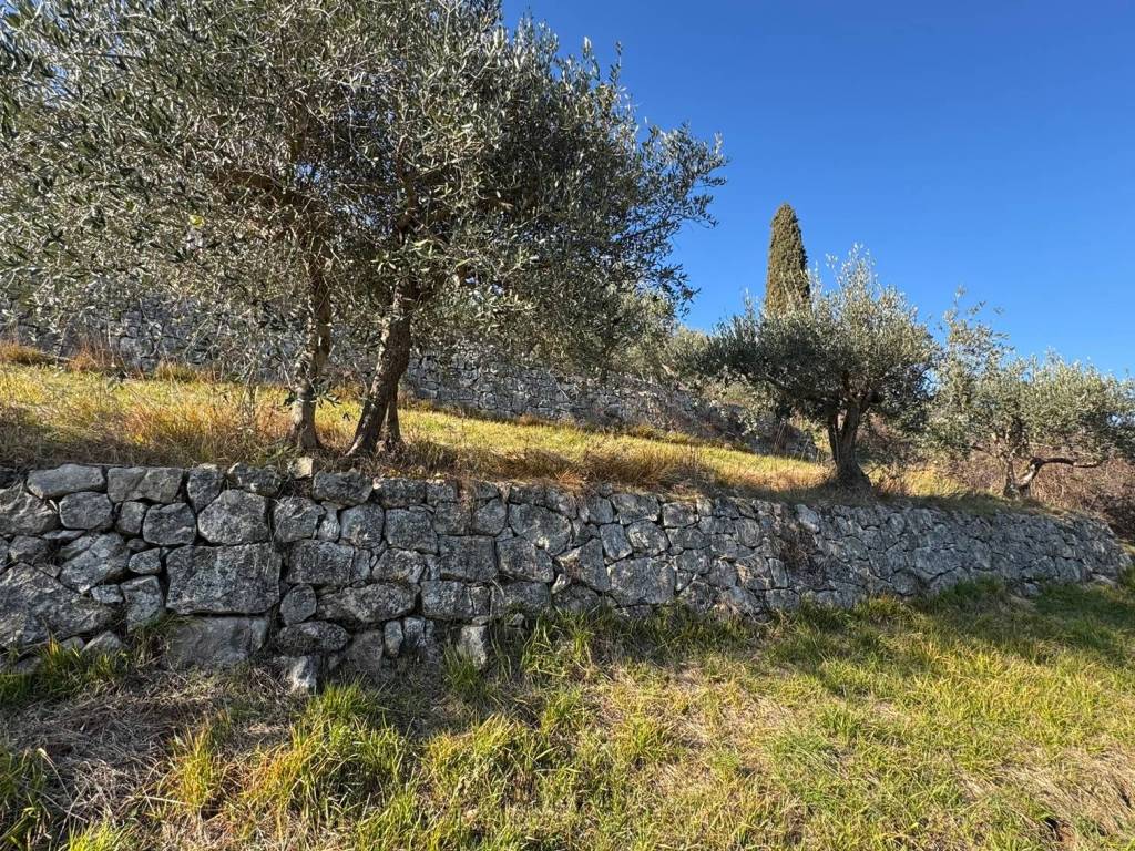 Terreno a Verona - Foto 2