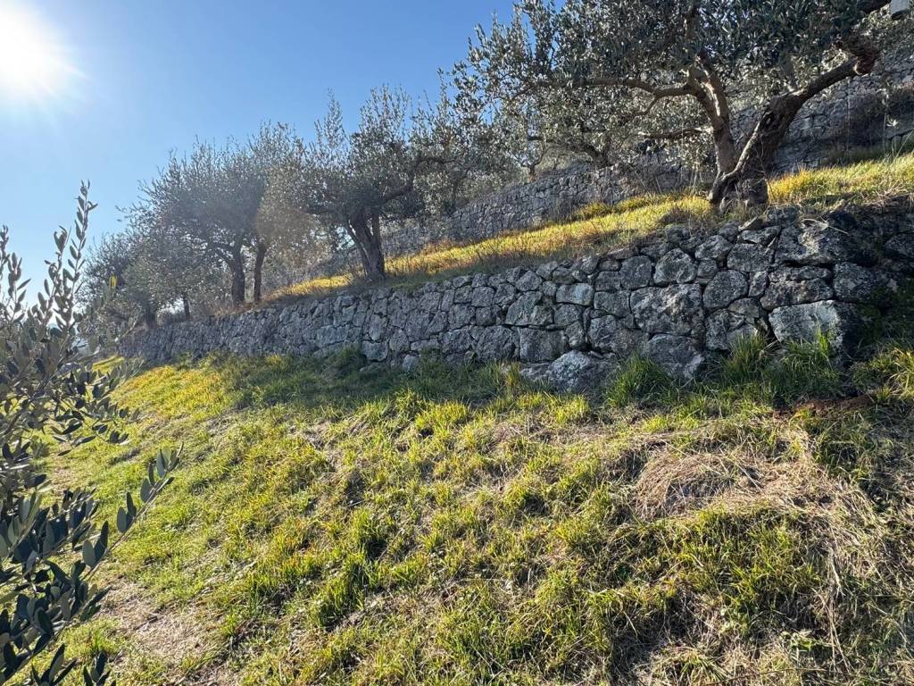Terreno a Verona - Foto 4