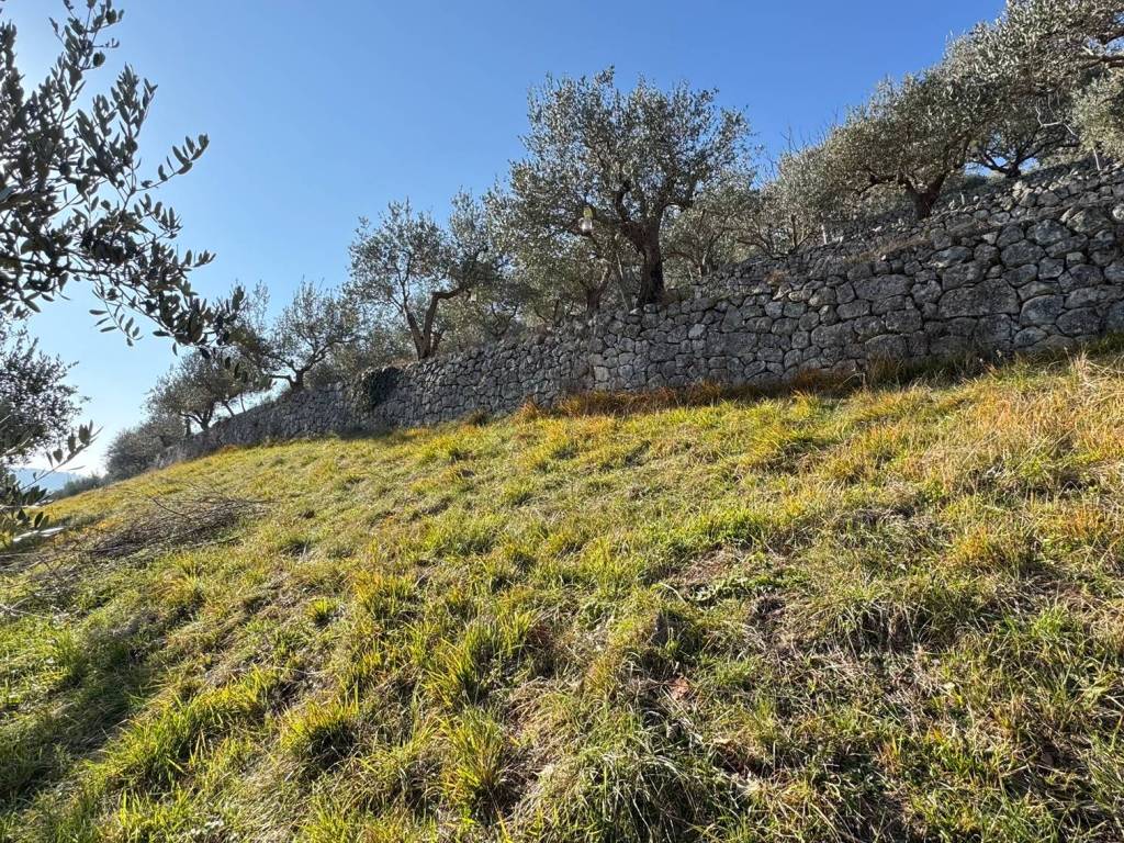 Terreno a Verona - Foto 5