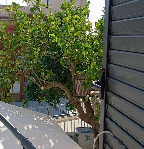 Casa indipendente a Terracina - Foto 5