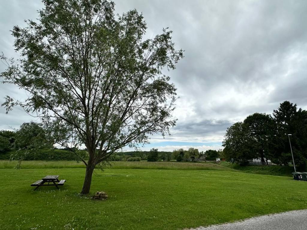 Terreno a Colloredo di monte albano - Foto 5