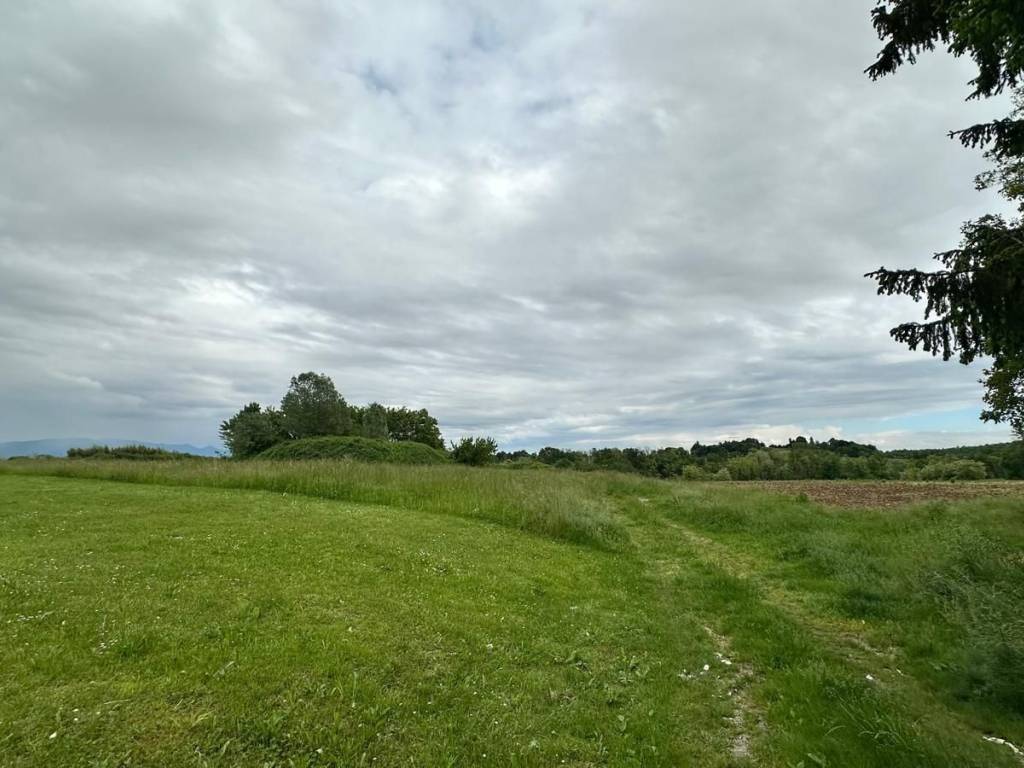 Terreno a Colloredo di monte albano - Foto 5