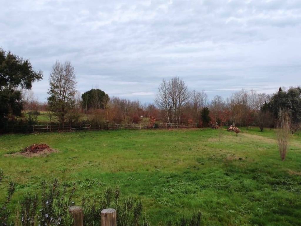 Terreno a Fauglia in Via Scacciapolli - Foto 2