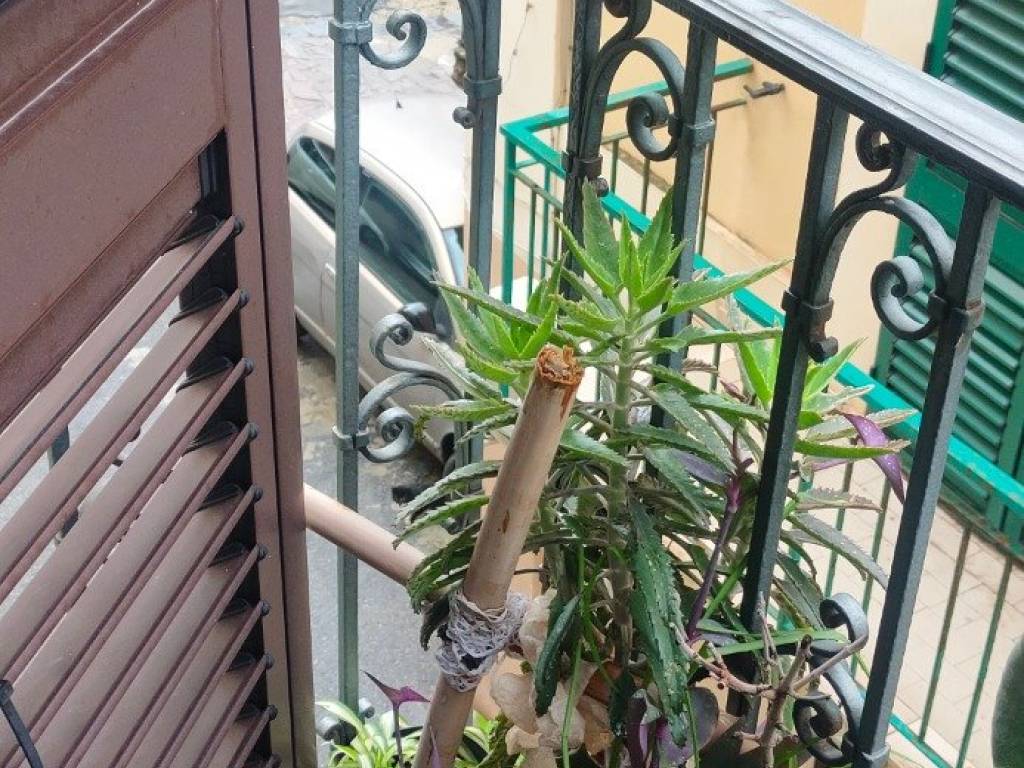 Appartamento a Pizzo in Via Vittorio Emanuele, 12 - Foto 4
