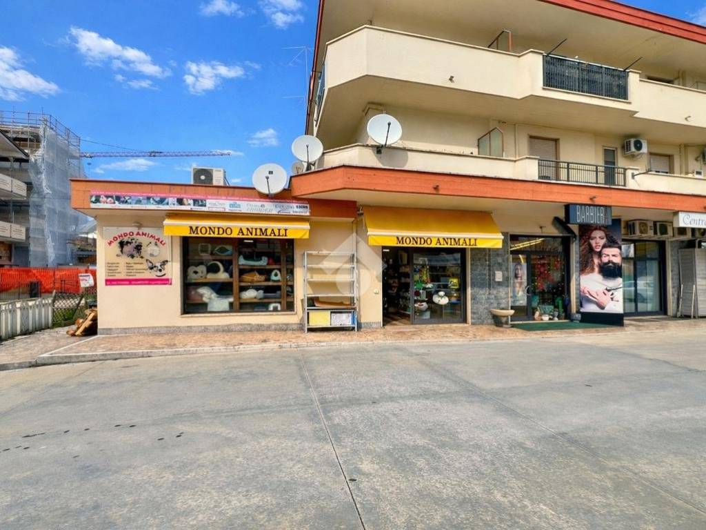 Immobile a Pineto in Via V. Bellini, 11 - Foto 2