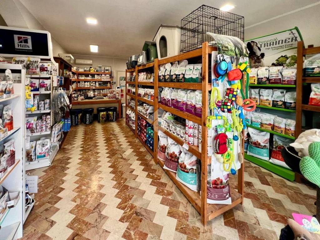 Immobile a Pineto in Via V. Bellini, 11 - Foto 3