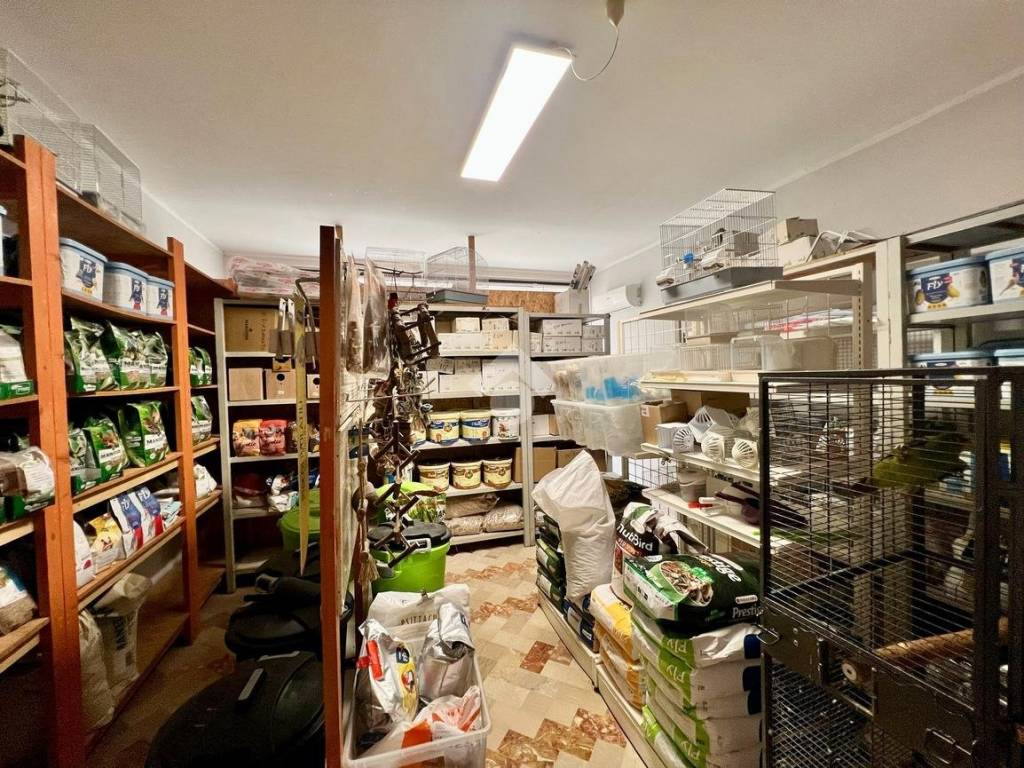 Immobile a Pineto in Via V. Bellini, 11 - Foto 4