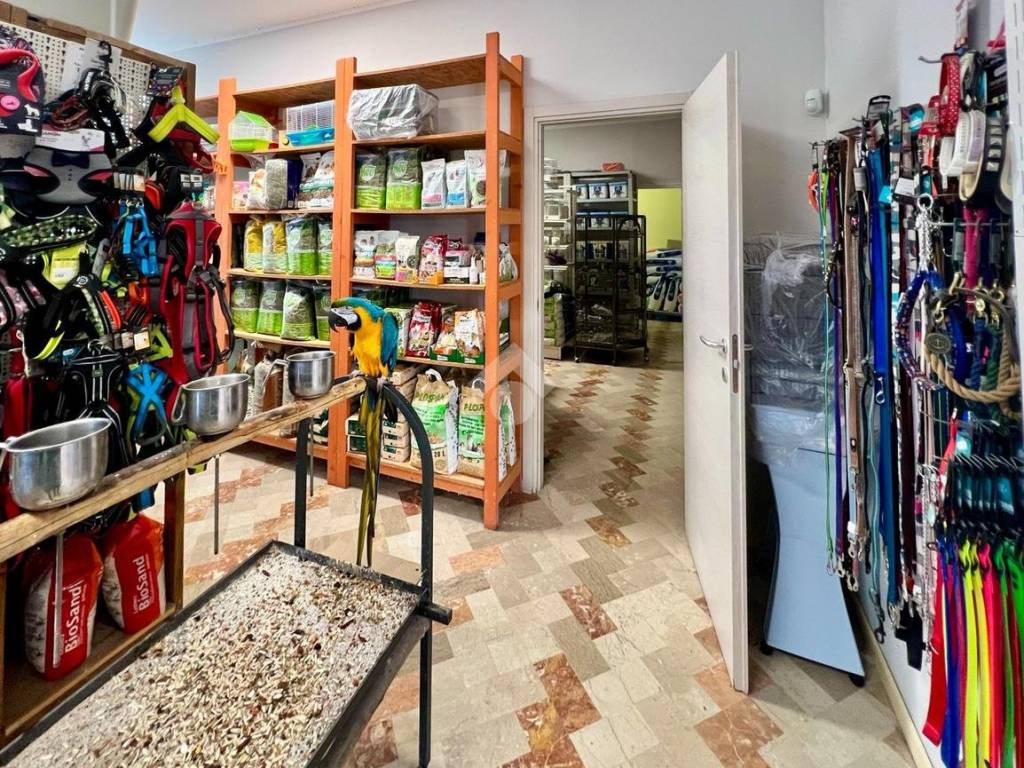 Immobile a Pineto in Via V. Bellini, 11 - Foto 5