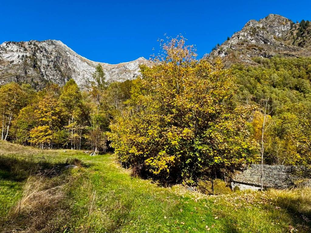 Rustico / casale a Antrona schieranco in Via Cimallegra - Foto 5