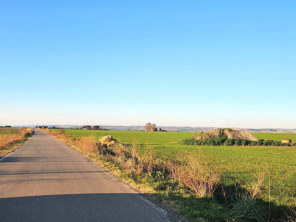 Terreno a Tarquinia - Foto 3