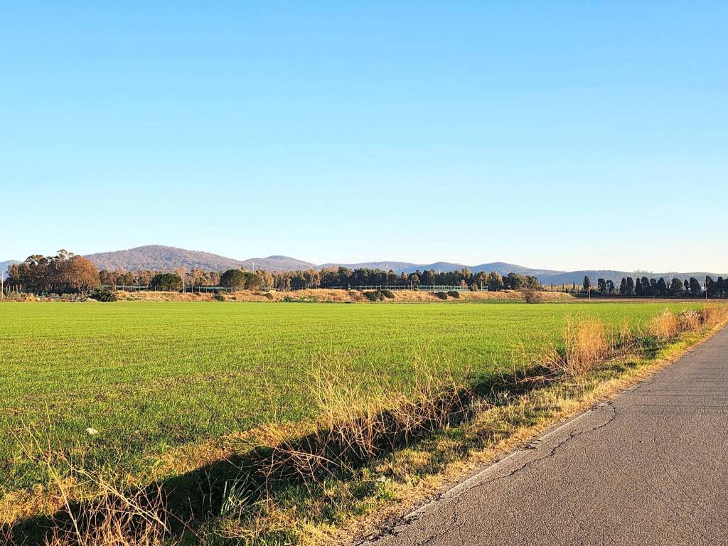 Terreno a Tarquinia - Foto 4