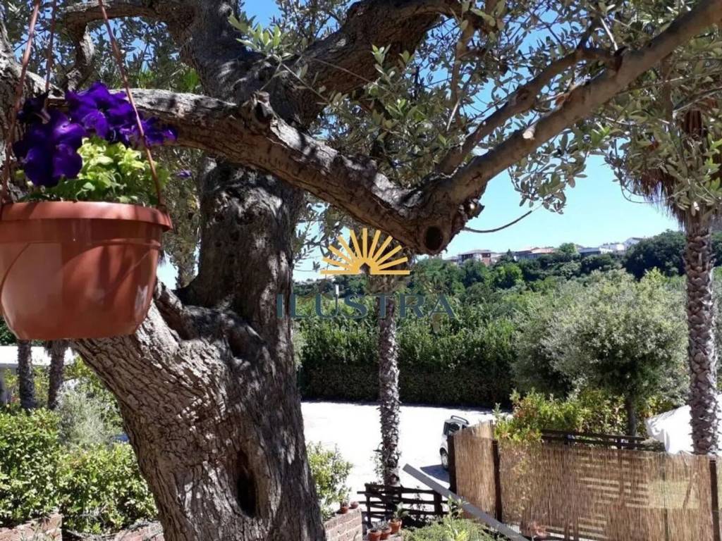 Appartamento a Massignano in Contrada Fonte Trufo, 15 - Foto 4