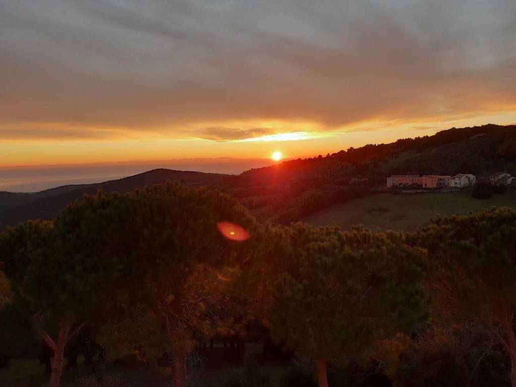 Appartamento a Rosignano marittimo - Foto 2