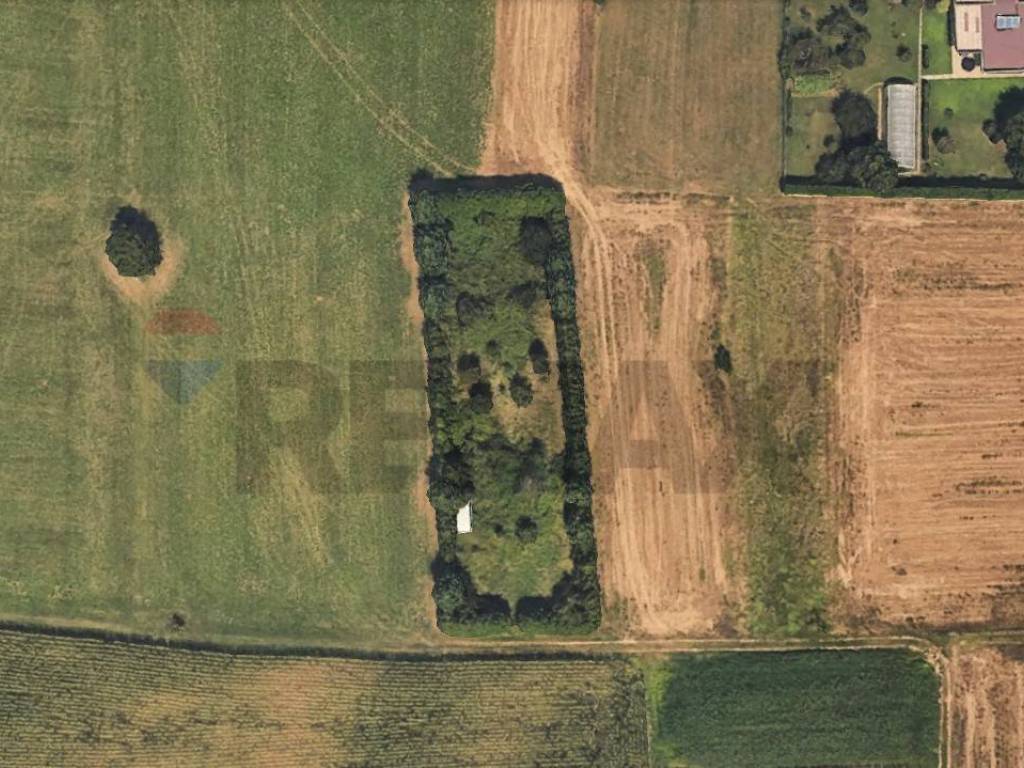 Terreno a Cairate in Via Lucca - Foto 2