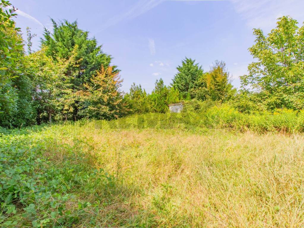 Terreno a Cairate in Via Lucca - Foto 3