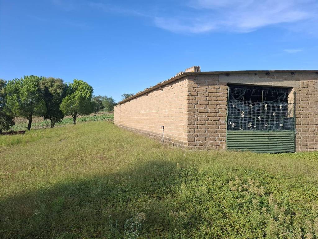 Immobile a Magliano in toscana - Foto 4