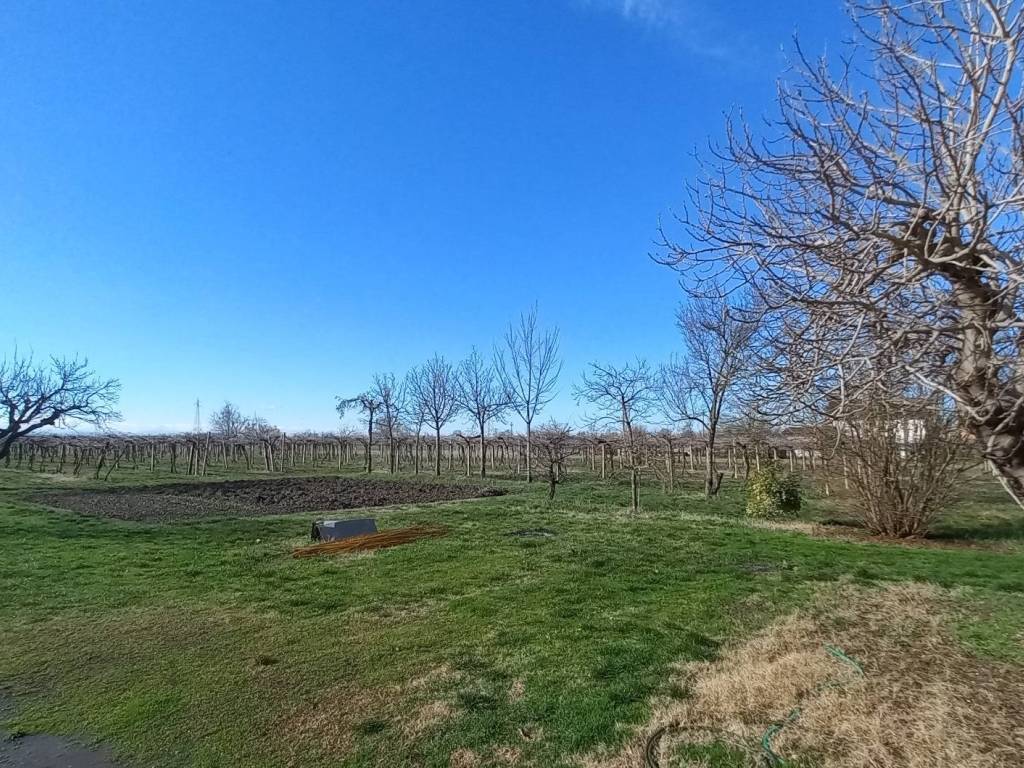 Terreno a Carpi in Stradello Zuccoli - Foto 3