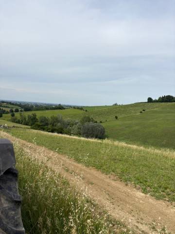 Terreno a Valsamoggia in Via Montebudello - Foto 2