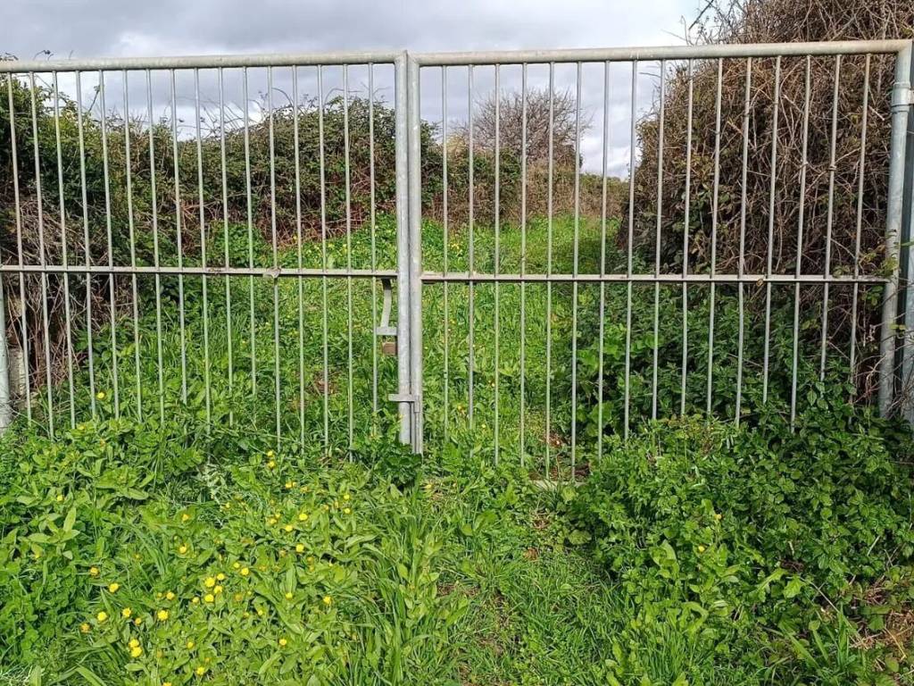 Terreno a Seneghe - Foto 4