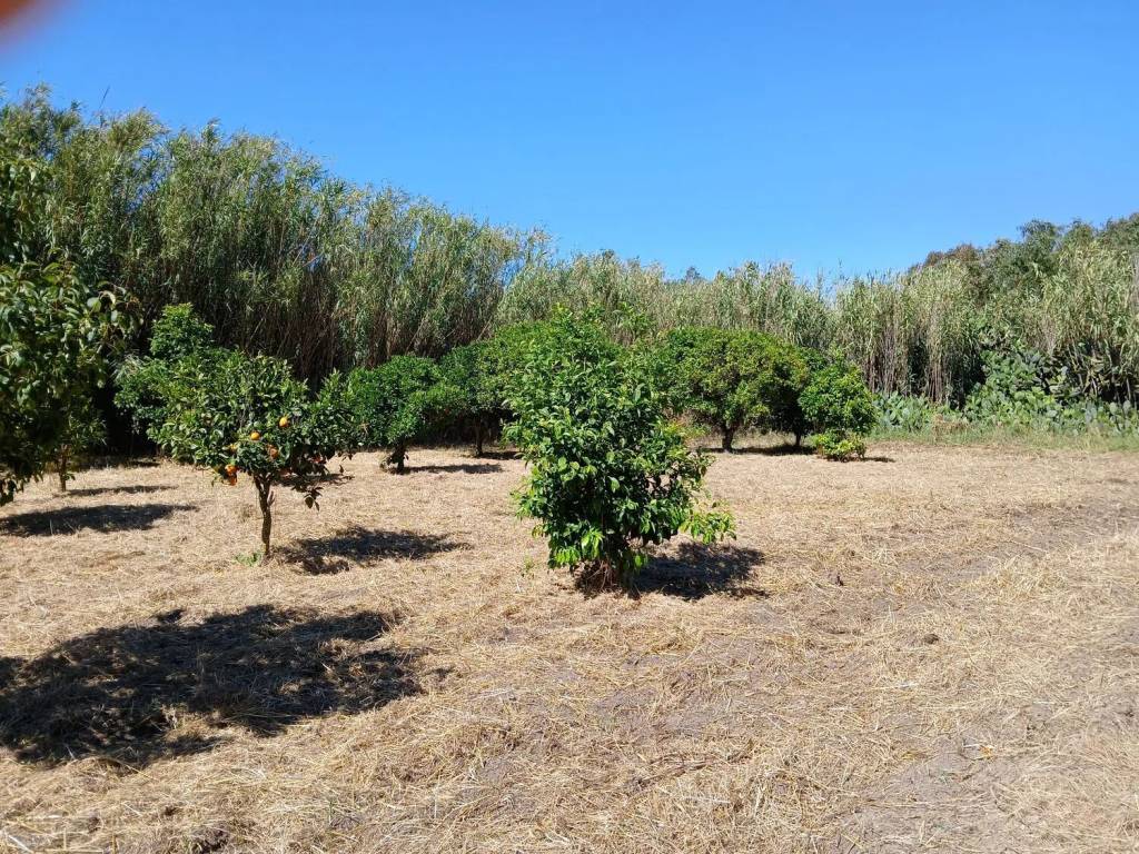 Rustico / casale a Arborea - Foto 2