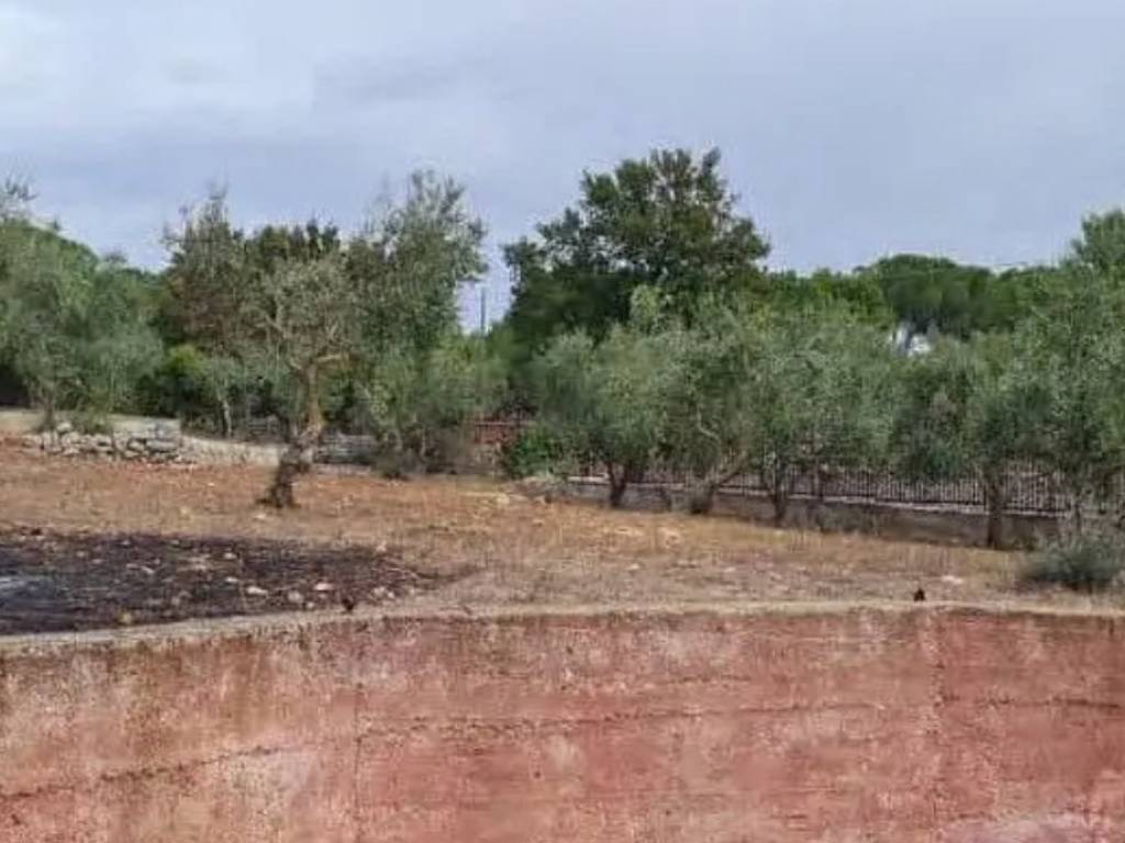 Villa a Putignano - Foto 4