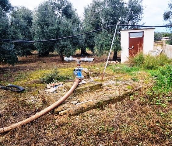 Terreno a Bisceglie - Foto 4