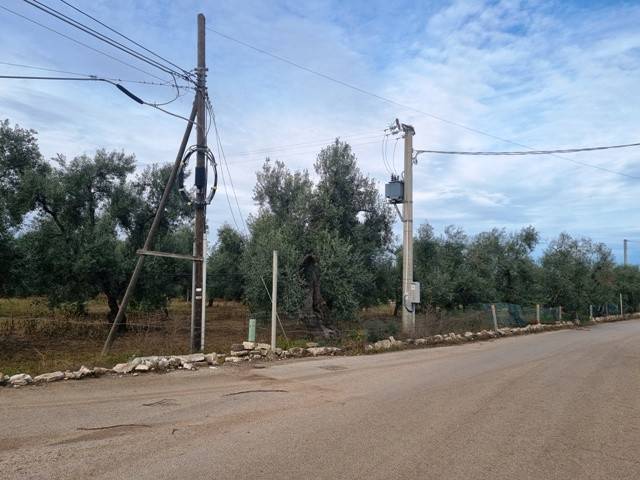 Terreno a Bisceglie - Foto 5