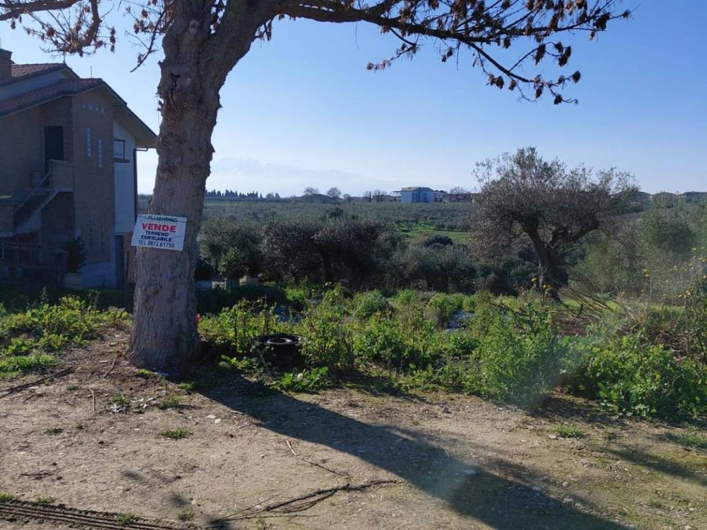 Terreno a San vito chietino in Foresta - Foto 2