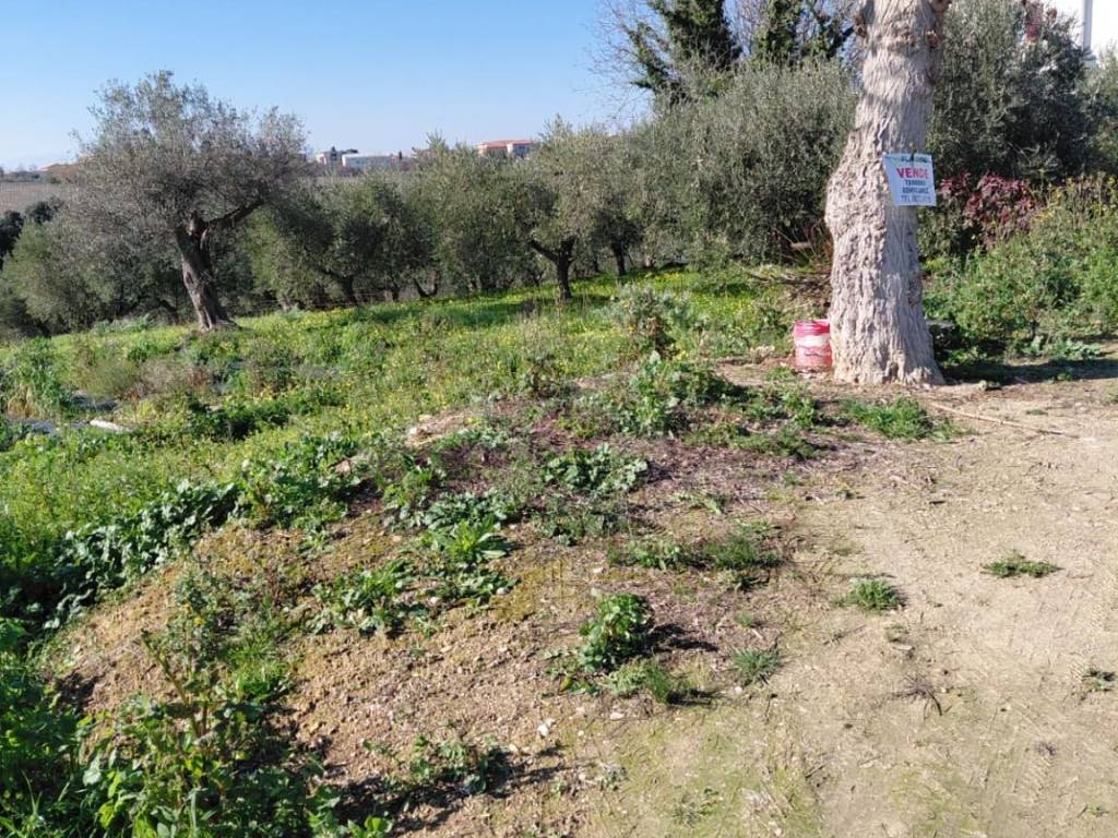 Terreno a San vito chietino in Foresta - Foto 3