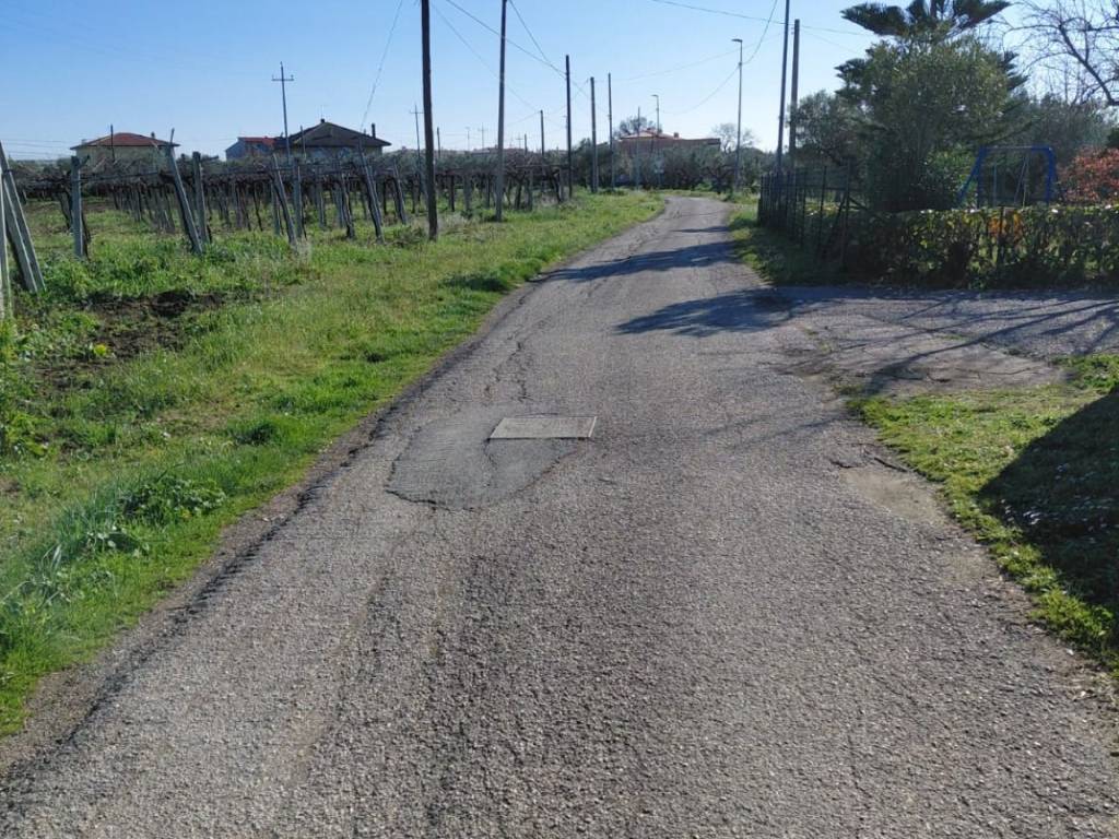Terreno a San vito chietino in Foresta - Foto 4