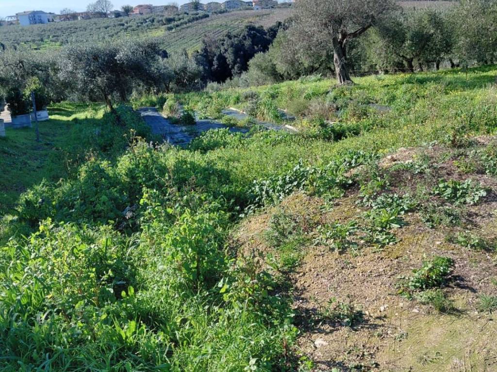 Terreno a San vito chietino in Foresta - Foto 5