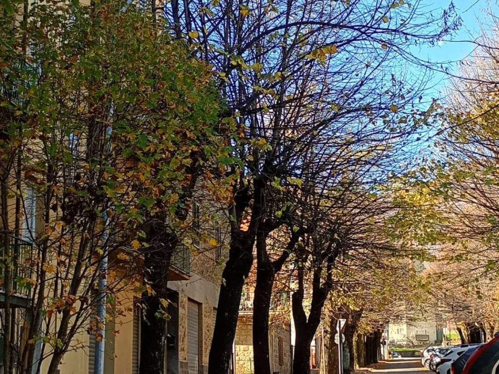 Appartamento a Abbadia san salvatore in Via Sabatini, 13 - Foto 2