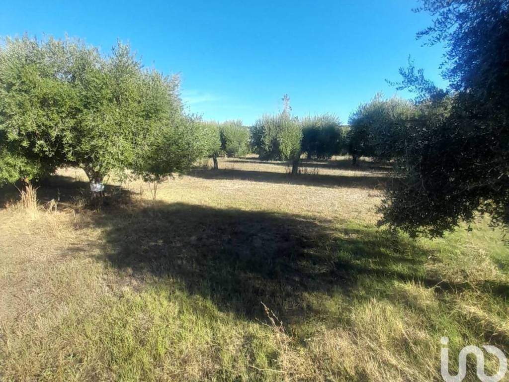 Terreno a Castellalto in Frazione Villa Zaccheo - Foto 2