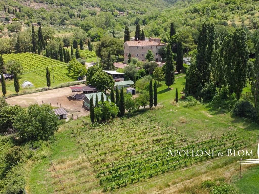 Rustico / casale a Cortona - Foto 2