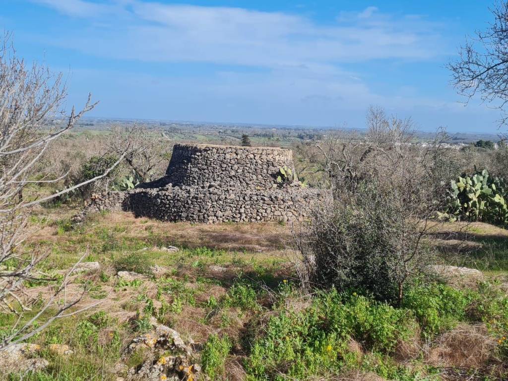 Rustico / casale a Parabita in Strada Vicinale di Ponente - Foto 5