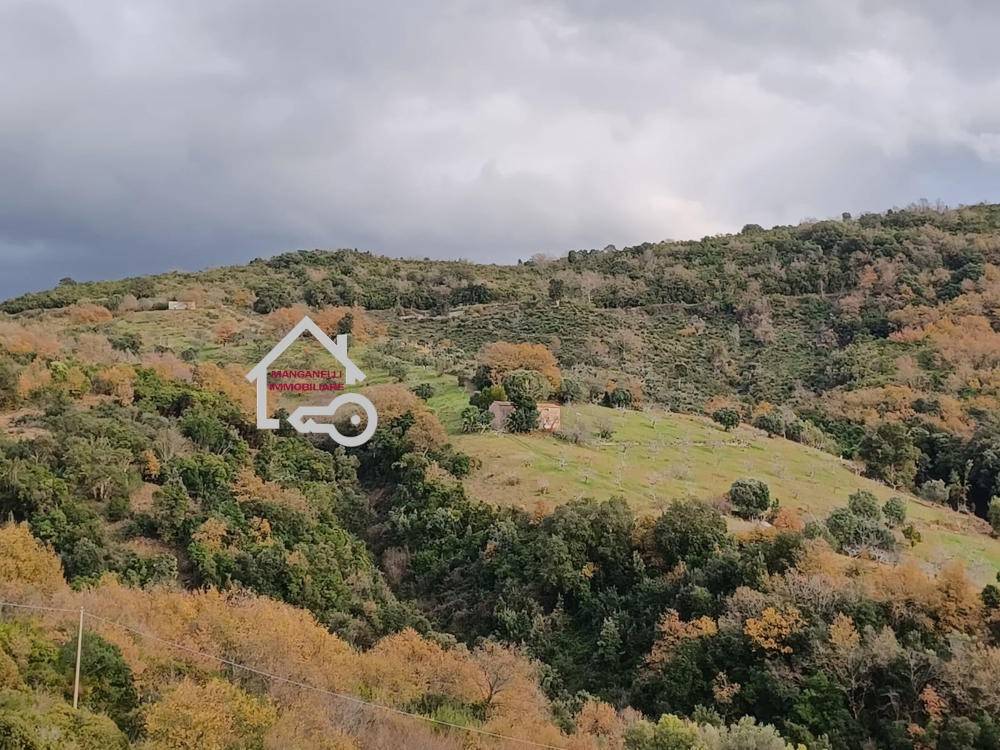 Terreno a Cicerale in SP83 - Foto 3