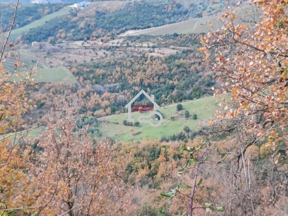 Terreno a Cicerale in SP83 - Foto 4