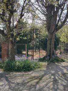 Casa indipendente a Ferrara in Via Giovanni Briosi, 2 - Foto 5