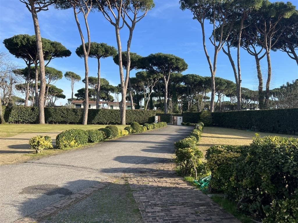 Villa a Forte dei marmi - Foto 3