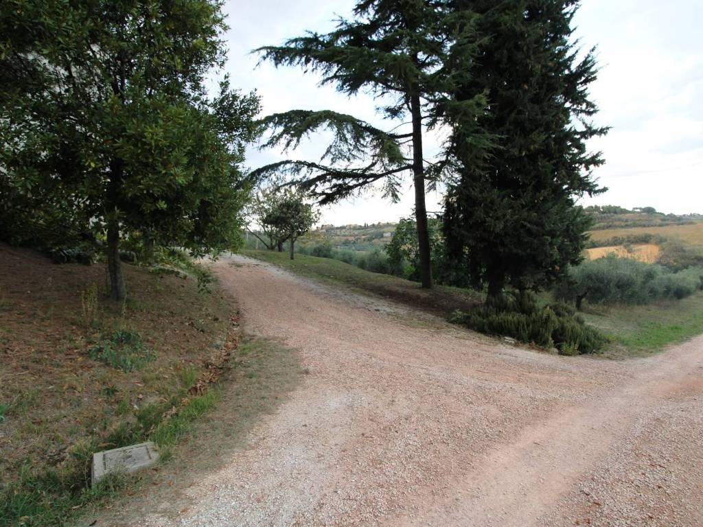 Terreno a Potenza picena in Contrada Uccelliera, 5 - Foto 2