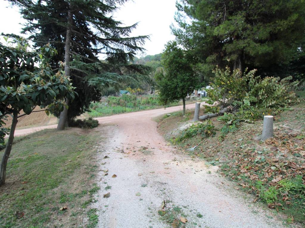Terreno a Potenza picena in Contrada Uccelliera, 5 - Foto 4