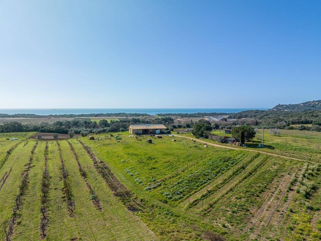 Terreno a Orbetello in Strada Statale Aurelia - Foto 5