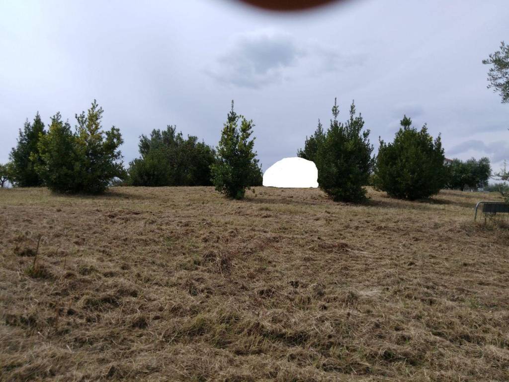 Terreno a Moscufo - Foto 5